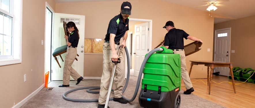 Lake Arlington, TX cleaning services